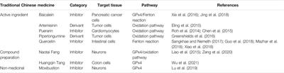 Ferroptosis as a New Mechanism in Parkinson’s Disease Therapy Using Traditional Chinese Medicine